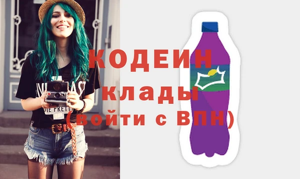 бошки Инта