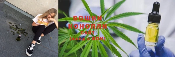гидропоника Иннополис