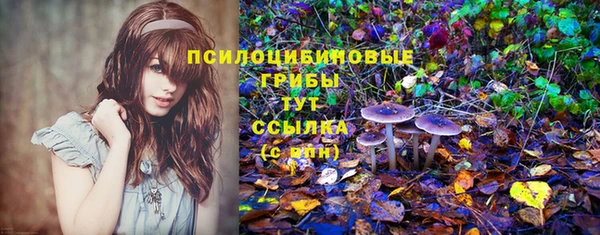 каннабис Зеленокумск