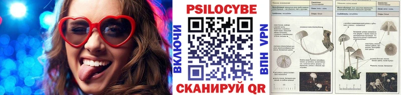 Псилоцибиновые грибы GOLDEN TEACHER  Камень-на-Оби 